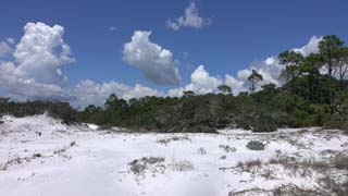 Looking east from Boardwalk 1